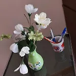Rosa Blu * Valderice
